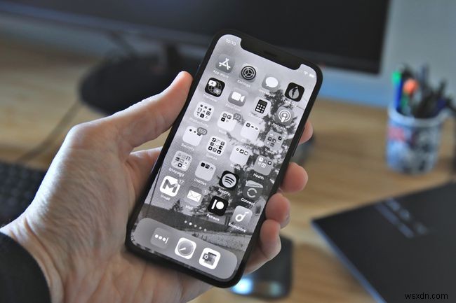 How to Fix It When Your iPhone Screen Turns Black and White