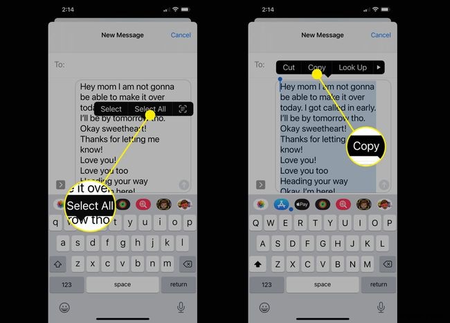 How to Export Text Messages From iPhone