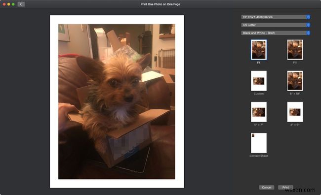 How to Print Your Own Photos