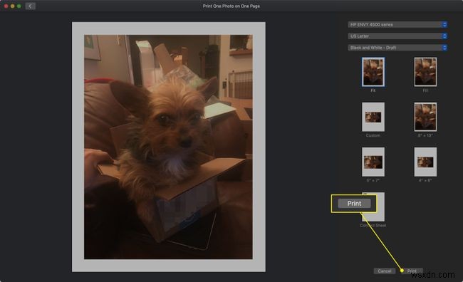 How to Print Your Own Photos