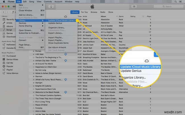 Everything You Need to Know About iTunes Match