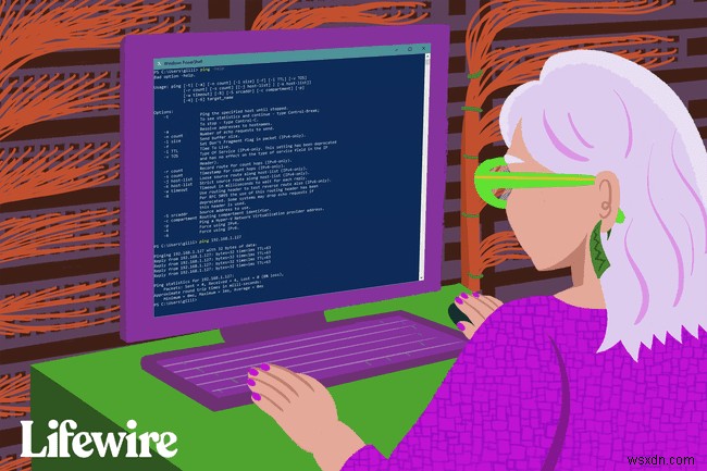 How to Ping a Computer or a Website