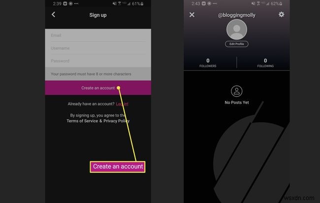 Triller: What It Is and How to Use It