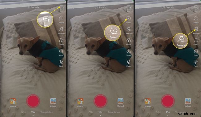 How to Make a TikTok Video