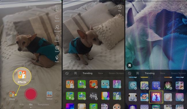 How to Make a TikTok Video