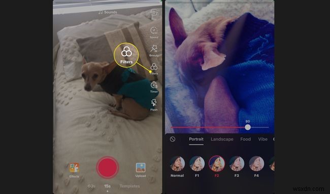 How to Make a TikTok Video