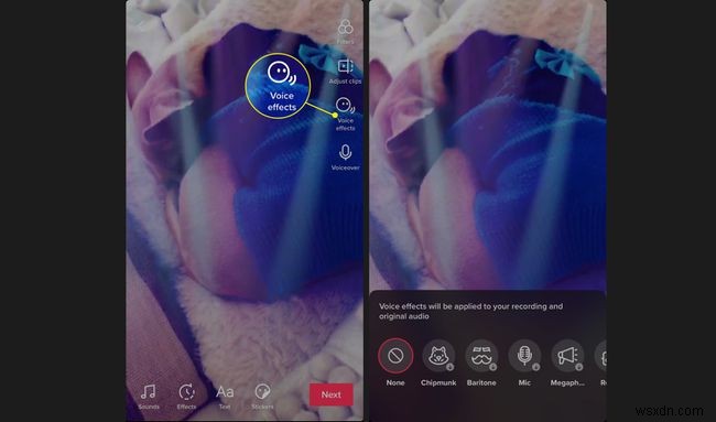 How to Make a TikTok Video