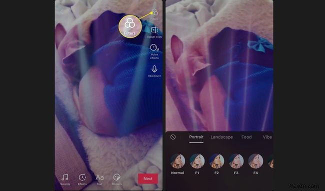 How to Make a TikTok Video