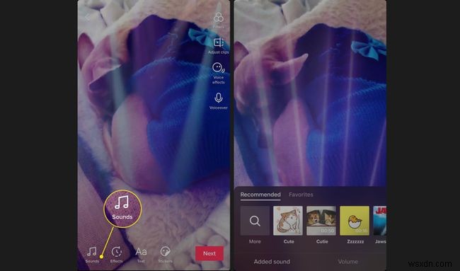 How to Make a TikTok Video