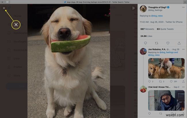 How to Search Twitter Images
