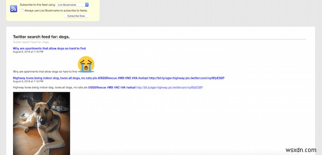 How to Create Your Own Twitter RSS Feed