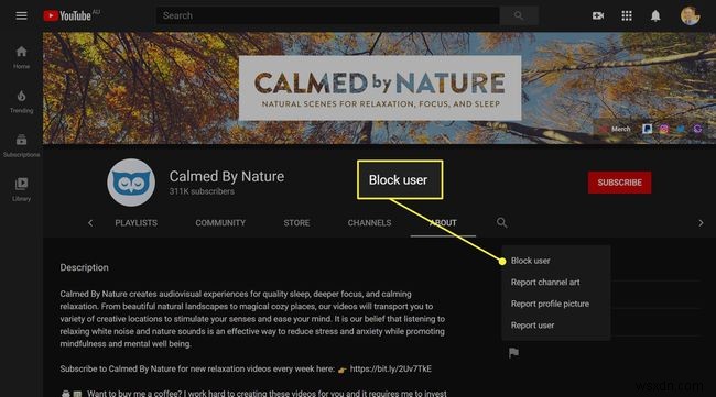 How to Block YouTube Channels