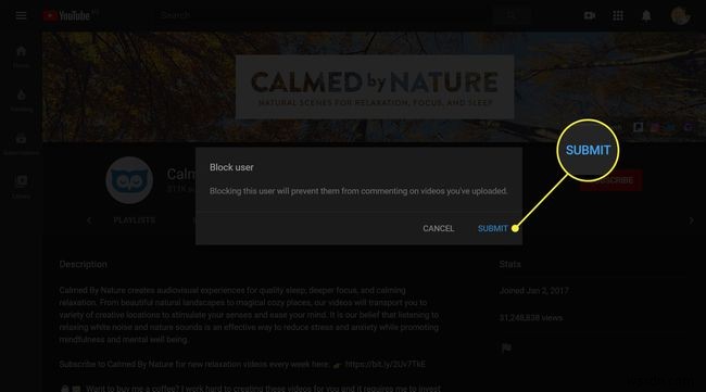 How to Block YouTube Channels