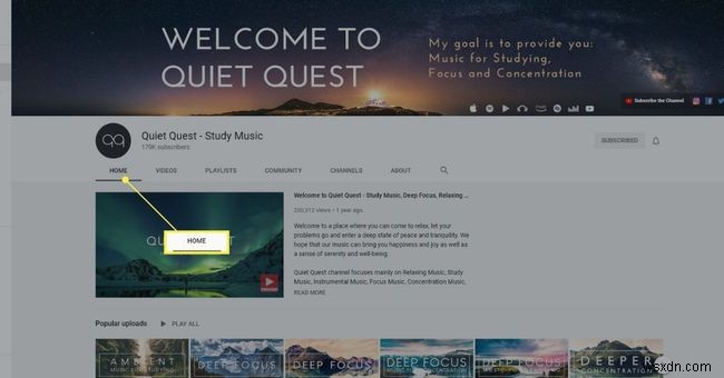 YouTube Privacy Settings