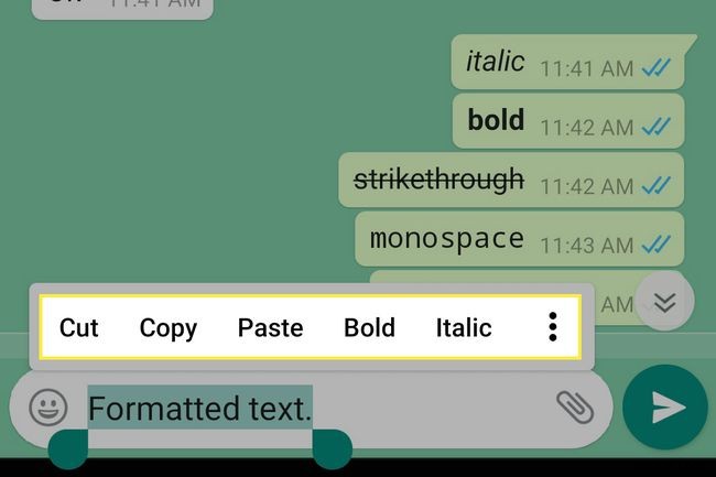 How To Use Bold, Italics and Strikethrough in WhatsApp Messages