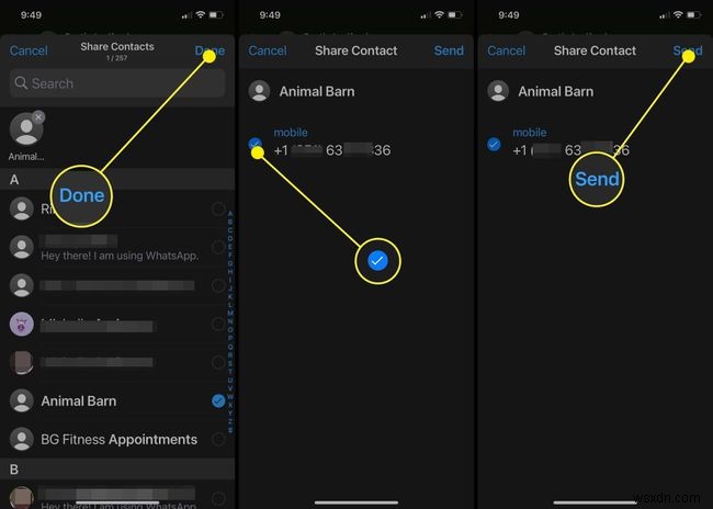 How to Share a Contact on WhatsApp