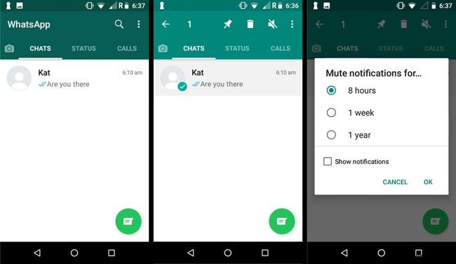 How to Use WhatsApp Mute