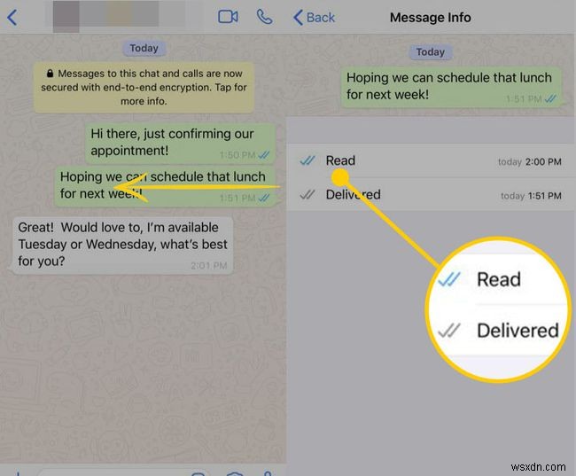 How to Identify and Disable WhatsApp Read Receipts