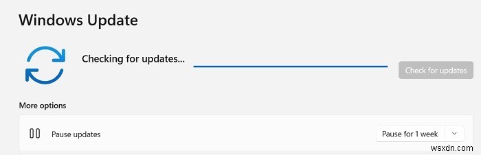 Windows 11 Snipping Tool Not Working: 10 Possible Fixes