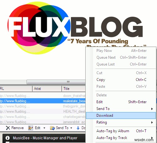 MusicBee: A Swiss Army Knife Media Manager For Your Music Collections