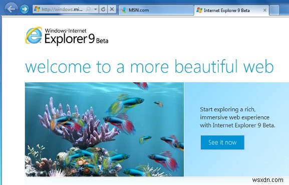 Internet Explorer 9 Beta Review