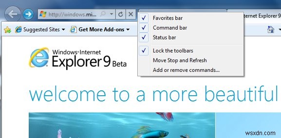 Internet Explorer 9 Beta Review