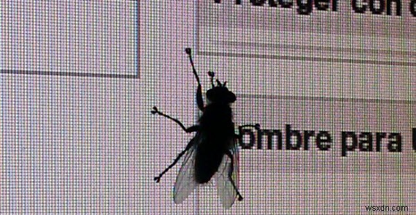The Differences Between Viruses, Worms, Trojans, Spyware and Malware