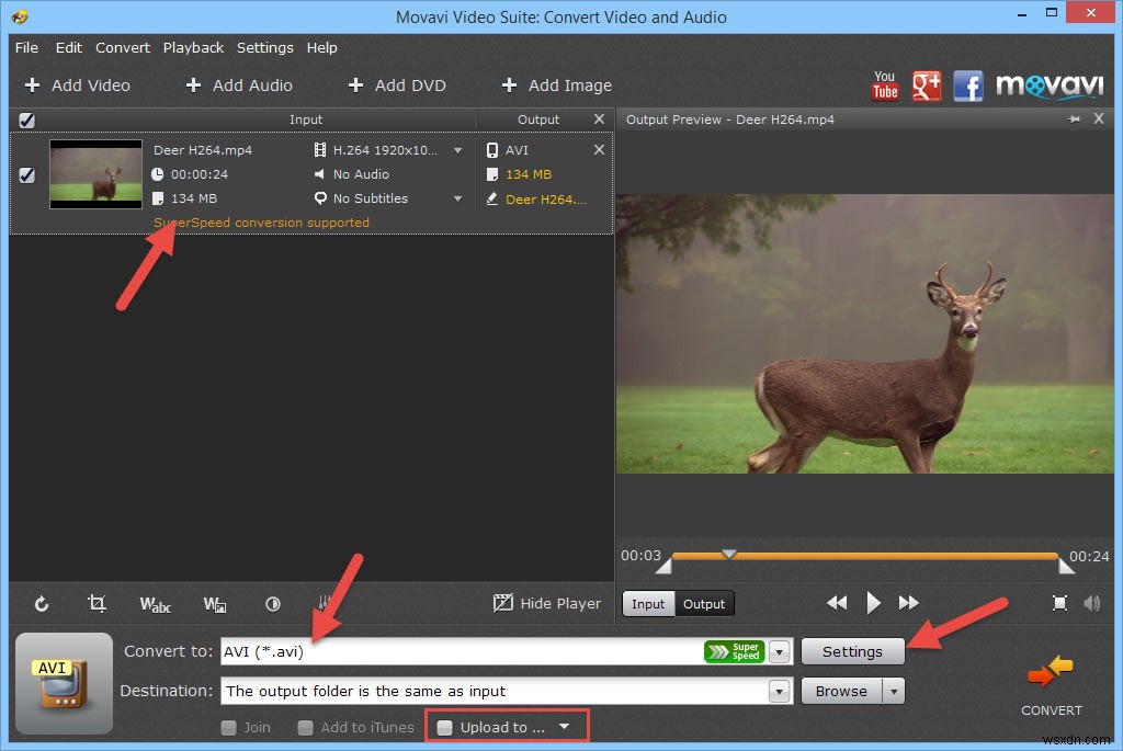 Movavi Suite – All-in-One Video Toolkit for Windows