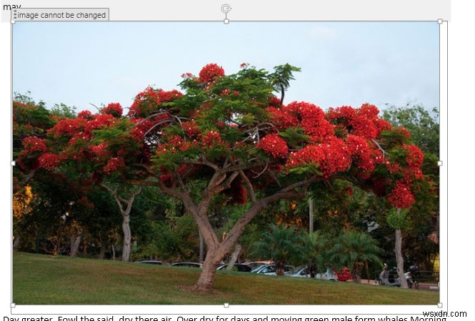 How to Restrict Other Users from Modifying a Part of a Word File