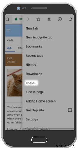 Pick Up Where You Left Off Using “Continue on PC” for Windows 10