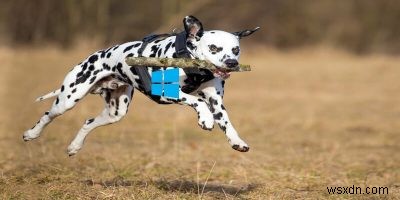 What Is Windows SuperFetch and How Can You Disable It