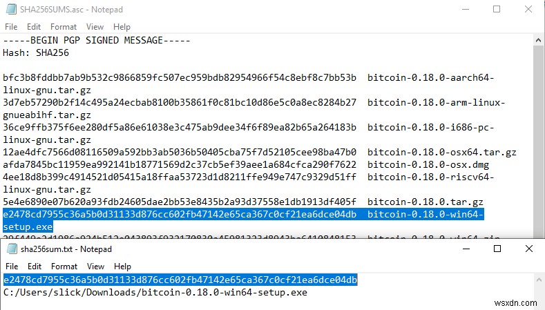 How to Verify Authenticity of Windows Software with Digital Signatures