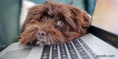 How to Detect Keyloggers in Windows Systems