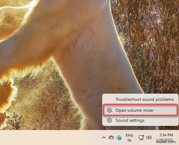 How to Troubleshoot Common Audio Issues in Windows 11/10