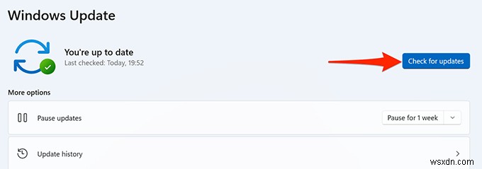 Windows 11 Search Not Working? Try These 10 Fixes