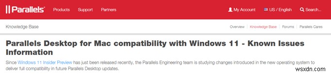 Top 17 Questions About Windows 11 Answered