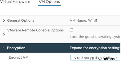 How to Install Windows 11 on a VMware Virtual Machine?
