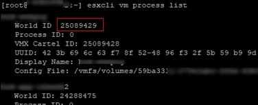 VMware ESXi: How to Kill an Unresponsive (Stuck) Virtual Machine