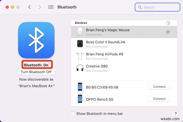 Fixed: Apple Magic Mouse Not Working on Macs