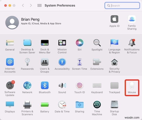 Fixed: Apple Magic Mouse Not Working on Macs
