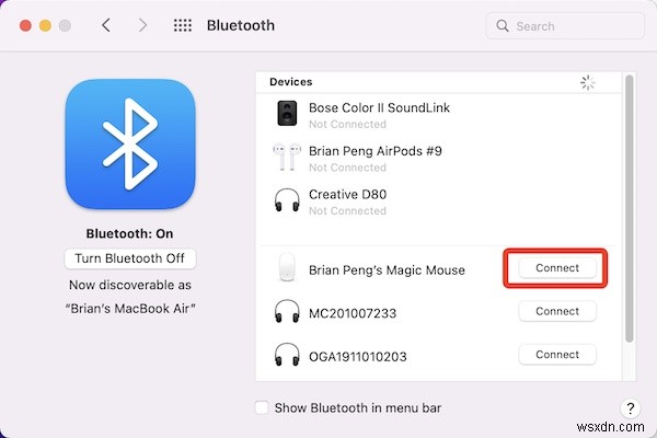Fixed: Apple Magic Mouse Not Working on Macs