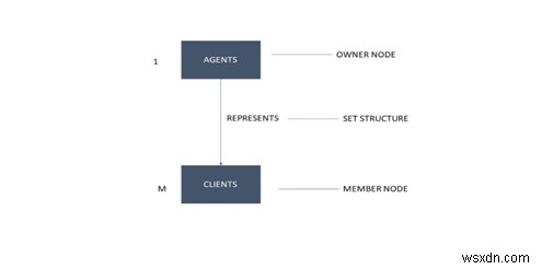 Network Model