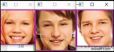 How to crop the detected faces in OpenCV using C++?