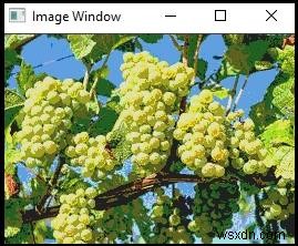 How to reduce color using Pointer Method in OpenCV?