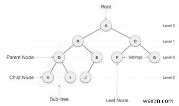 Count full nodes in a Binary tree (Iterative and Recursive) in C++