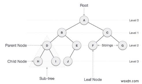 Count Non-Leaf nodes in a Binary Tree in C++