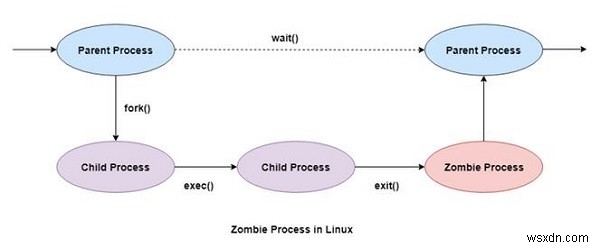 Zombie and Orphan Processes in Linux