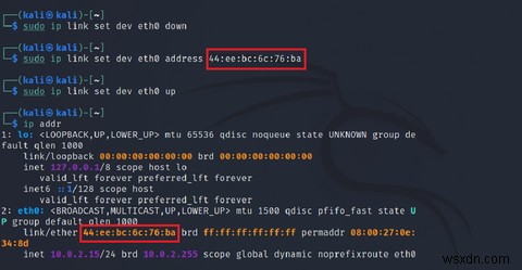 How to Change Your MAC Address on Linux