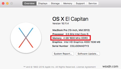 How Much RAM Do You Really Need?