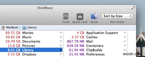 Wash Away Unwanted Large Files with DiskWave for Mac